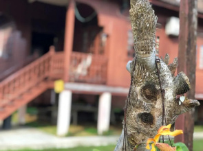 Nuruls Homestay