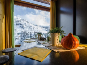 Holzboxen Planneralm