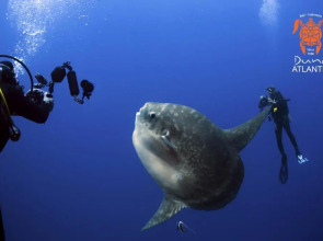 Sativa Sanur Cottages