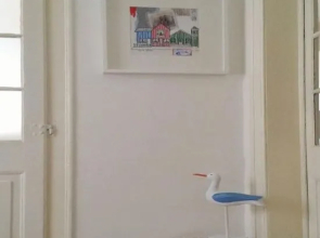 Supimpa Typical Apartment