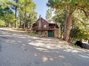 Hot Tub, Game Room: Dog-friendly Pine Cabin!