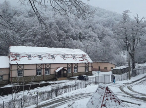 Арт-хостел Ёлки