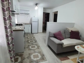 Nehoiu apartament