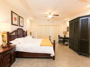 Lawson Rock Seahorse 205