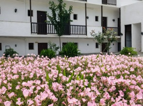 Koukounaries Beach Hotel