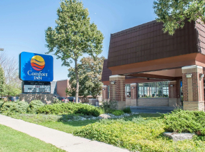 Comfort Inn Lundys Lane