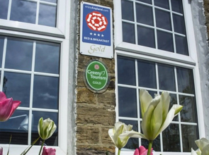 Dowfold House Bed & Breakfast