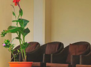 Le ROI Corbett Resort