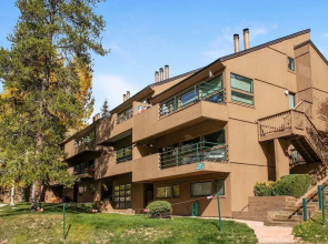 14j Pitkin Creek 3 Bedroom Condo