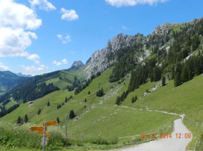 Waldruhe