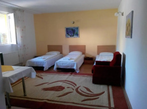 Pensiunea Vladut Timisoara