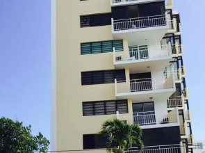 Starfish by the Ocean