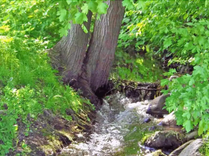 Ungestört die Sonne Genießen im App. 10 Sanddorn