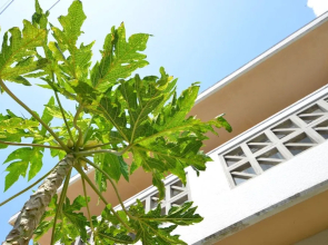 Yomitanson Resort House