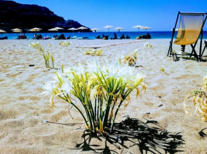 AnnaMaria Sea View Studio- 25m from the beach