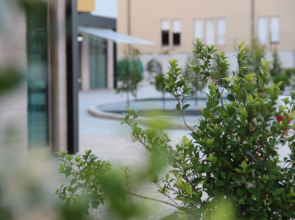 Aurea Fátima Hotel Congress & Spa