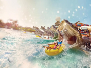 Отель Yas Plaza Circuit