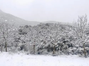 Chalet 1 Bedroom 1 Bathroom - Kalavryta