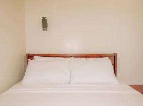 Spacious & Cozy Urban Oasis