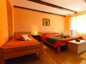 Authentic Istrian Holiday Home for Unforgettable Stays