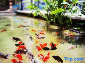 Qiyu Homestay