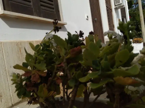 Casa Maria & Bartolomeo