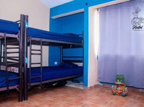 Venado 8