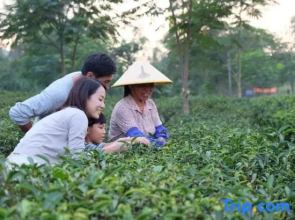 Xinglun International Apartment (Foshan Meidi Wuhu Shop)