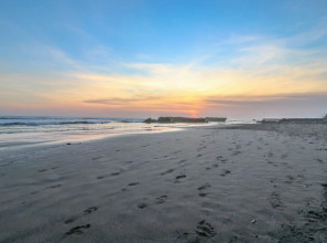 Canggu 77 Guest House by OYO