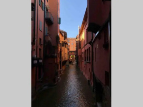 Carachouse - Bologna
