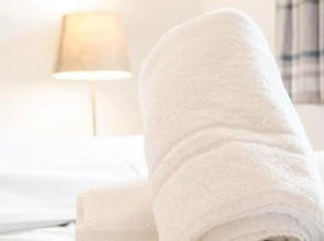 Peaceful and Quiet Apartment in a Bustling City