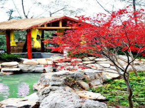 Slender West Lake Hot Spring Resort