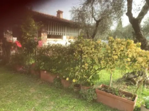 Una Casa tra gli Olivi