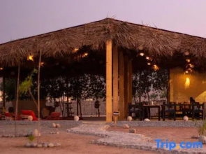 SAMA Ras Al Jinz Ecolodge