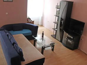 Apartment Radnic 107