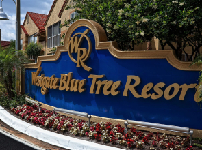 Westgate Blue Tree