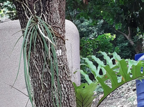 Baanrai Saiyoknoi Resort