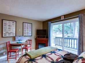 Mt Baker Lodging Condo 37 - Sleeps 2