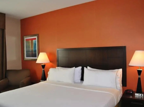 Holiday Inn Express Pittsburgh E -Waterfront