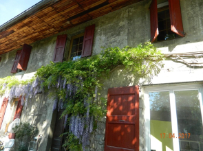 Cottage Niveole