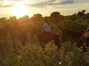 The Lodge at Feline Fields