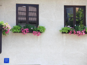 Apartment Apolon planinski