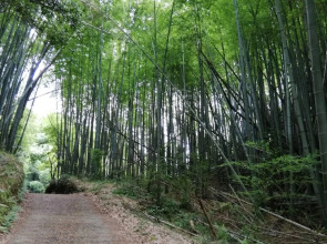 Hotel Resort Saikatei