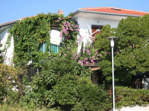 Apartment Petar - 6m from the sea: A1 Barbat, Island Rab