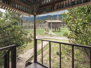 Sleep Whiskers Away From the Lions and " Feel " Them Roar! Cabin 4