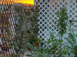 LA MAISON - Sea Appartment & Petit Chalet en Bois for 4 SEASONS