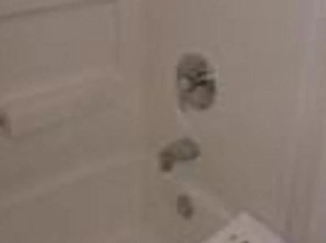 Vienna Wolf Trap Hotel