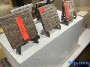 TongHua TEA hotel