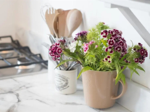 Beach House No1 With Amazing Sea Views And Direct Beach Access