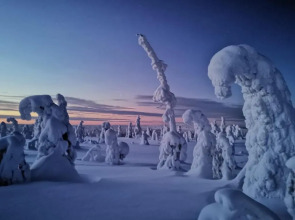 Holiday Lansirinne E 19